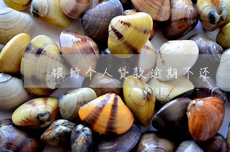 银行个人贷款逾期不还 银行个人贷款逾期不还