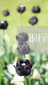 银行个人贷款逾期保证书 银行个人贷款逾期保证书