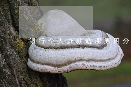 银行个人贷款逾期原因分析 银行个人贷款逾期原因分析