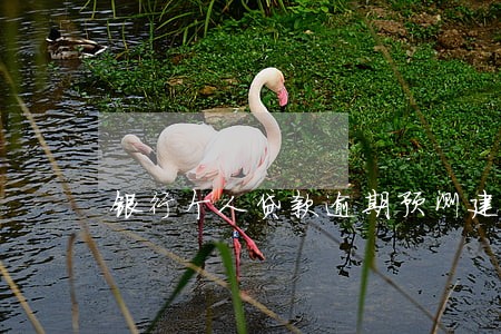 银行个人贷款逾期预测建模 银行个人贷款逾期预测建模