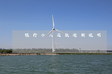 银行个人还款逾期说明 银行个人还款逾期说明