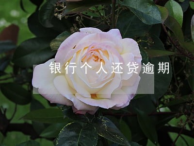 银行个人还贷逾期 银行个人还贷逾期