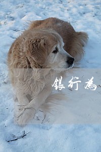 银行为什么会逾期放款 银行为什么会逾期放款