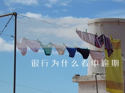银行为什么看中逾期 银行为什么看中逾期