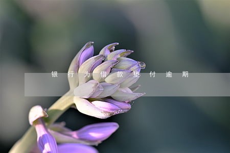 银行为借款垫付逾期 银行为借款垫付逾期