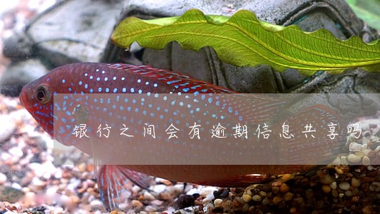 银行之间会有逾期信息共享吗 银行之间会有逾期信息共享吗