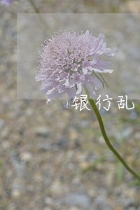 银行乱收信用卡逾期利息 银行乱收信用卡逾期利息