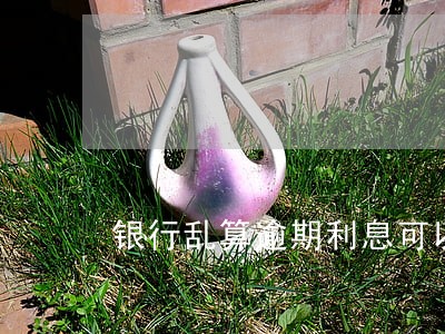 银行乱算逾期利息可以起诉吗