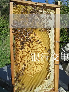 银行交电费逾期还会自动扣款吗 银行交电费逾期还会自动扣款吗