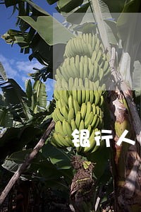 银行人员法院查冻扣心得