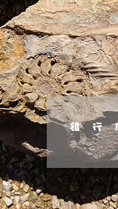 银行什么情况算逾期 银行什么情况算逾期