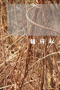 银行从业考试法规重点 银行从业考试法规重点