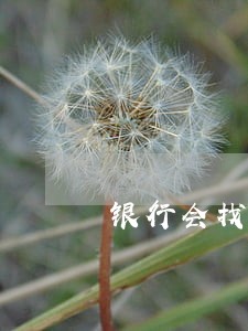 银行会找律师和债务人协商还款吗 银行会找律师和债务人协商还款吗
