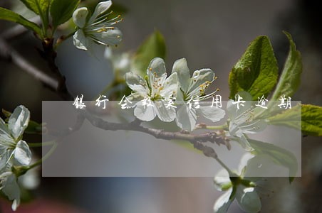 银行会报案信用卡逾期 银行会报案信用卡逾期