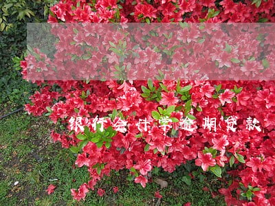 银行会计学逾期贷款 银行会计学逾期贷款