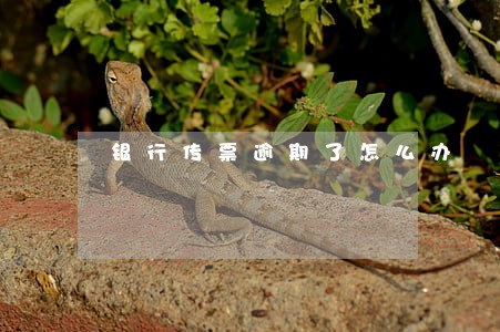 银行传票逾期了怎么办 银行传票逾期了怎么办