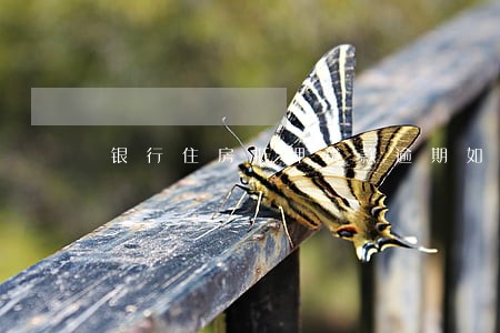 银行住房抵押贷款逾期如何办