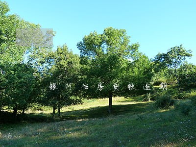 银行住房贷款逾期 银行住房贷款逾期