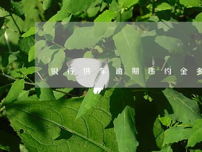 银行供车逾期违约金多少