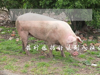 银行依据错误列入征信逾期 银行依据错误列入征信逾期