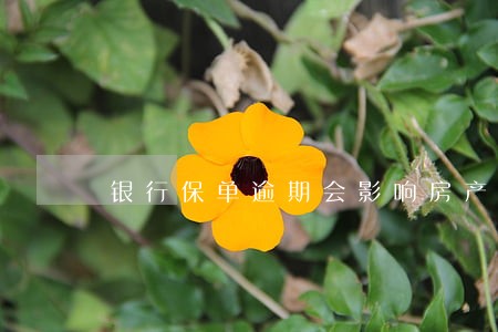 银行保单逾期会影响房产过户吗 银行保单逾期会影响房产过户吗