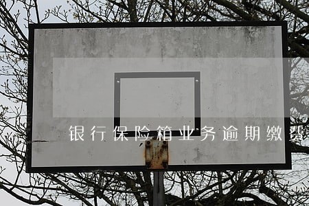 银行保险箱业务逾期缴费 银行保险箱业务逾期缴费