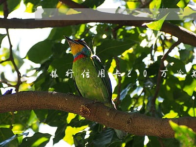 银行信用卡20万逾期 银行信用卡20万逾期