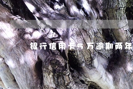 银行信用卡5万逾期两年了 银行信用卡5万逾期两年了