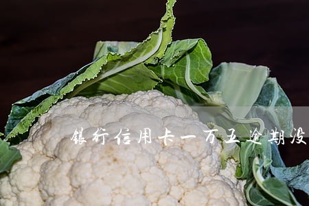 银行信用卡一万五逾期没还