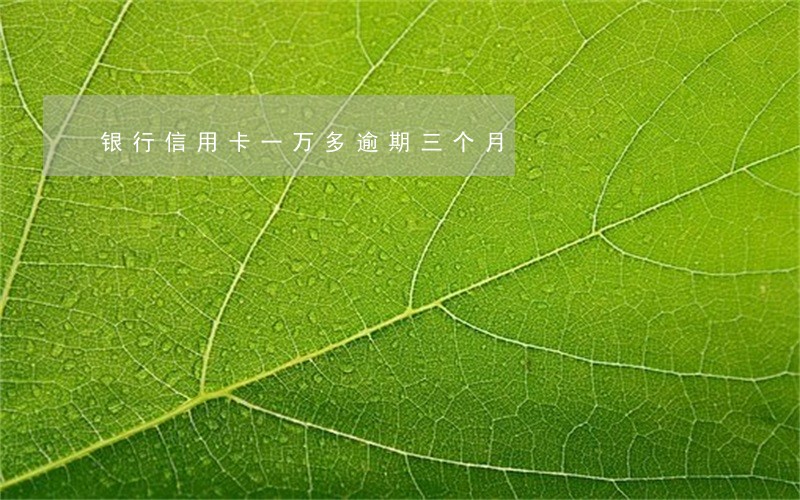 银行信用卡一万多逾期三个月