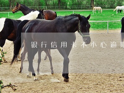 银行信用卡不小心逾期怎么办 银行信用卡不小心逾期怎么办