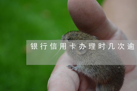 银行信用卡办理时几次逾期 银行信用卡办理时几次逾期