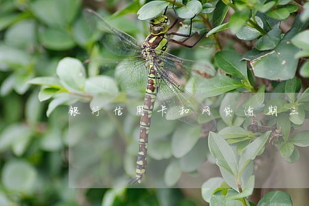 银行信用卡和网贷逾期三个月了