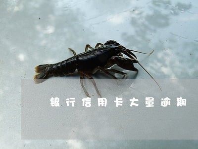 银行信用卡大量逾期 银行信用卡大量逾期