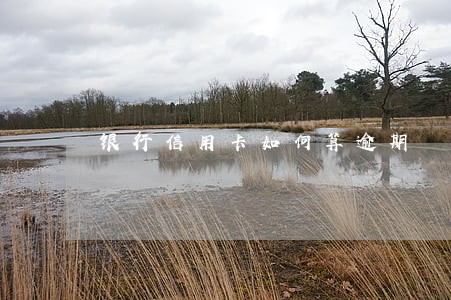 银行信用卡如何算逾期 银行信用卡如何算逾期
