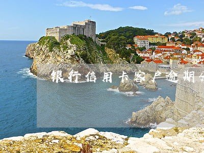 银行信用卡客户逾期分析 银行信用卡客户逾期分析