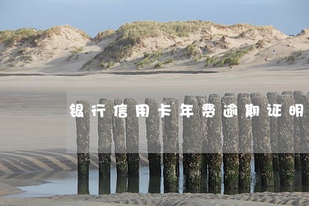 银行信用卡年费逾期证明专用章 银行信用卡年费逾期证明专用章