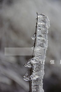 银行信用卡晚几点还算逾期 银行信用卡晚几点还算逾期