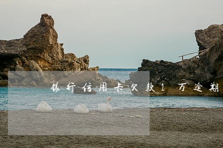 银行信用卡欠款1万逾期怎么办