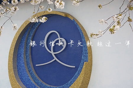银行信用卡欠款超过一年只还本金