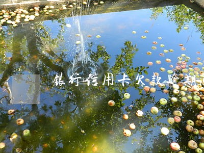 银行信用卡欠款逾期怎么处理 银行信用卡欠款逾期怎么处理