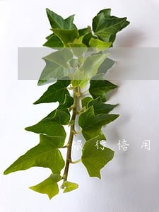 银行信用卡没有逾期被停用 银行信用卡没有逾期被停用