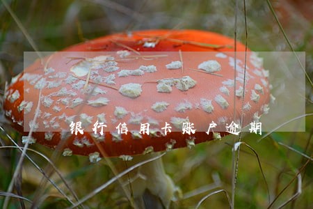 银行信用卡账户逾期 银行信用卡账户逾期