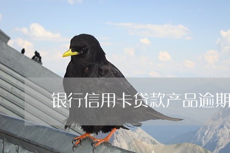 银行信用卡贷款产品逾期