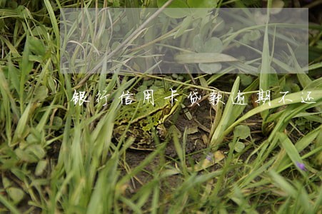 银行信用卡贷款逾期不还会怎样 银行信用卡贷款逾期不还会怎样
