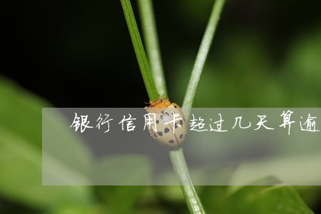 银行信用卡超过几天算逾期 银行信用卡超过几天算逾期