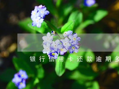 银行信用卡还款逾期多久会起诉 银行信用卡还款逾期多久会起诉