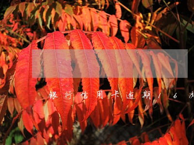 银行信用卡逾期16次