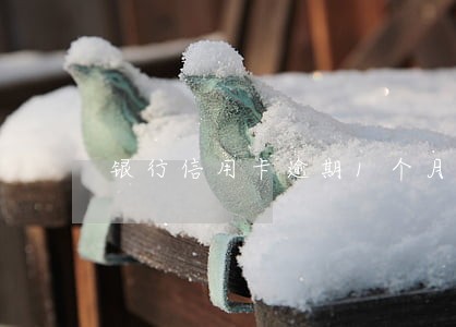 银行信用卡逾期1个月