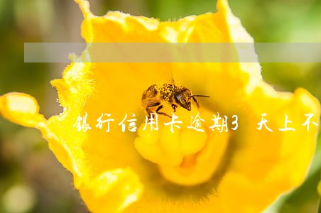 银行信用卡逾期3天上不上征信